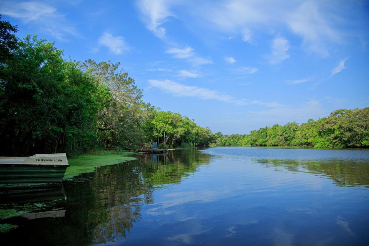 The Backwaters Lodge Vườn quốc gia Vườn quốc gia Wilpattu Ngoại thất bức ảnh