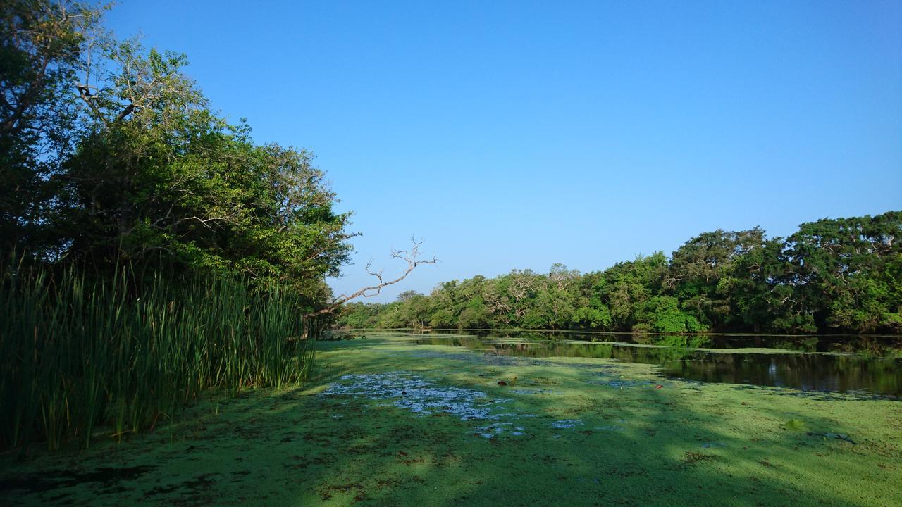 The Backwaters Lodge Vườn quốc gia Vườn quốc gia Wilpattu Ngoại thất bức ảnh